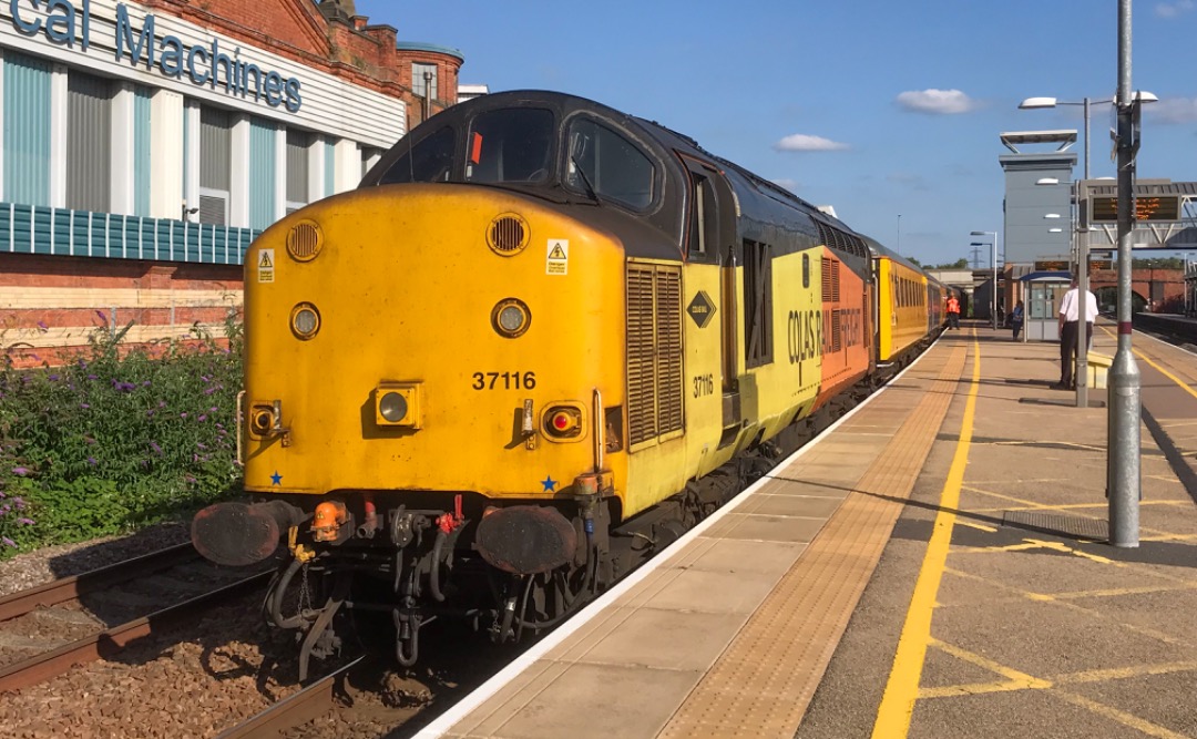Isaac MC on Train Siding: 37116 sits at Loughborough in the warm summer sun whilst the driver changes ends from 37421 on the other end.