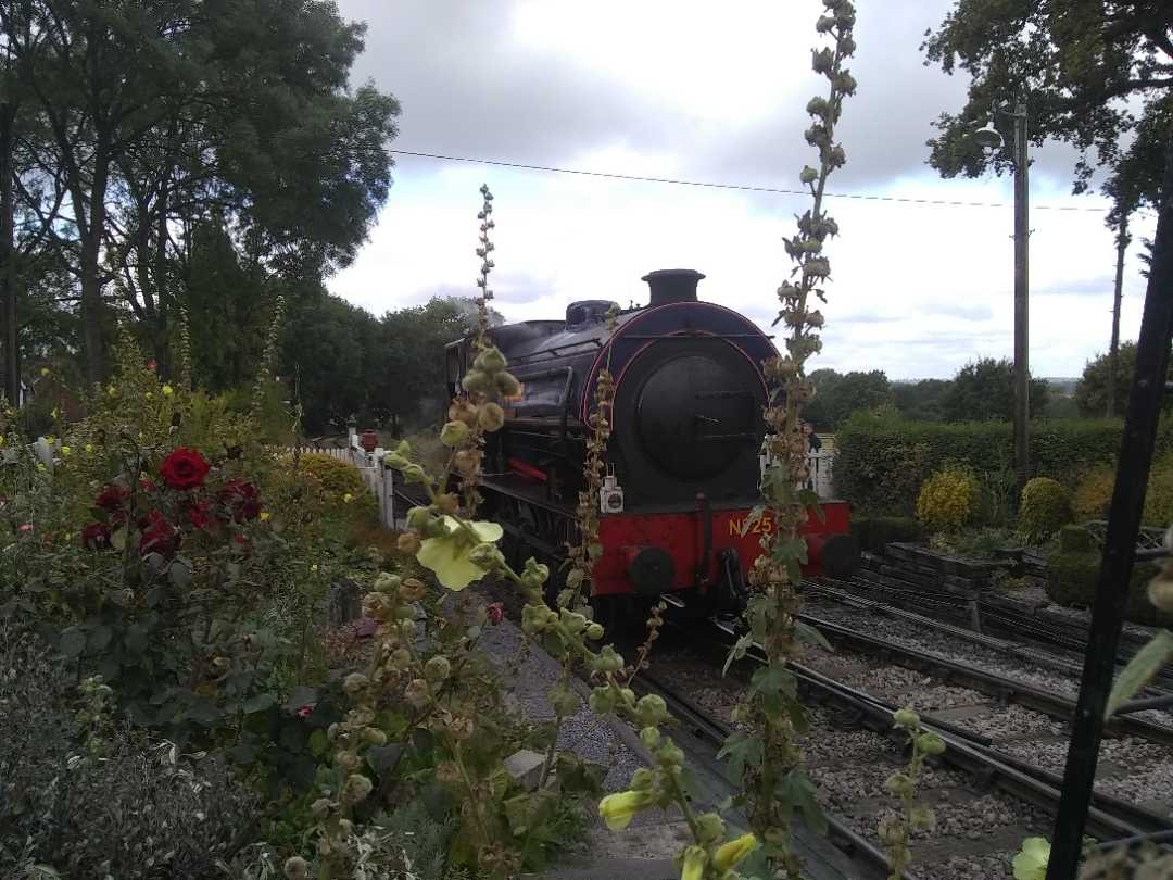 Jack on Train Siding: #trainspotting at Tenterden. Tried to get an artistic shot through the flowers. Not too sure on it
