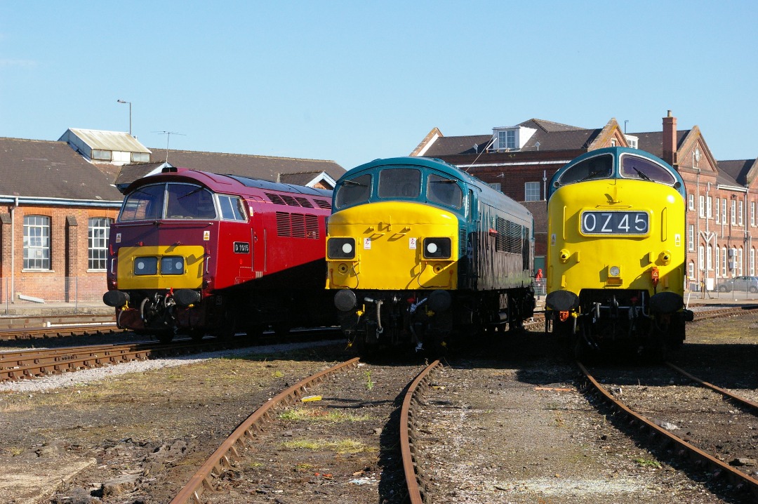 Train Siding on Train Siding: Left to right: Western Diesel Hydraulic No. D1015 'Western Champion', Peak 45-060 'Sherwood Forester' and
Deltic 55 -022 "Royal Scots Grey'.