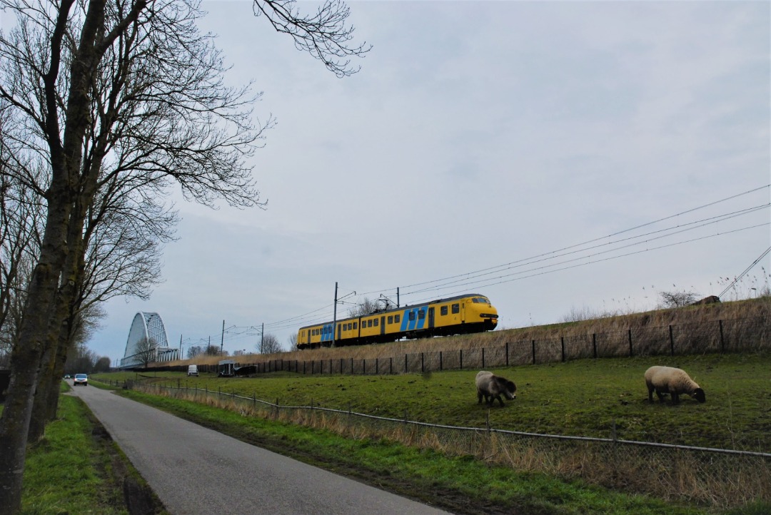 Daan Willers on Train Siding: Mat'64 904 onderweg bij Schalkwijk als Railexperts trein 39384 richting Gilze-Rijen, Haarlem en Hilversum.