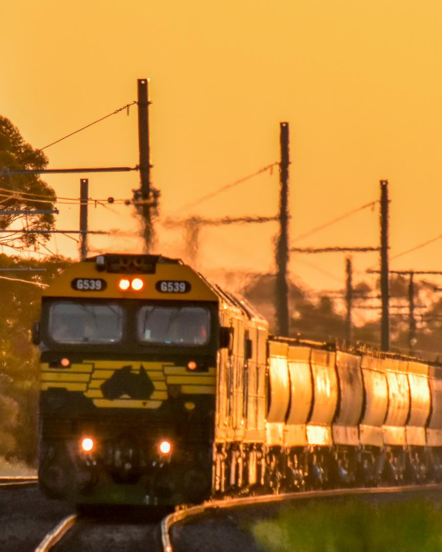 Shawn Stutsel on Train Siding: A late afternoon Glint shot of Pacific National's G539, BL27 and BL30 racing through Hoppers Crossing, Melbourne with 7MC6,
Empty Grain...